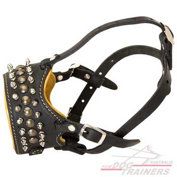 Adjustable Straps Riveted to Dog Muzzle