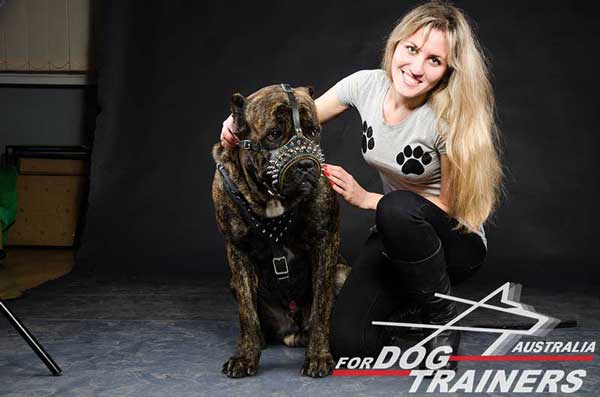 Cane Corso Leather Muzzle Anti-barking