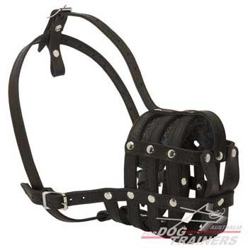 Dog Leather Basket Muzzle Nappa Padded