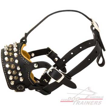 Dog Leather Muzzle Easily Adjustable