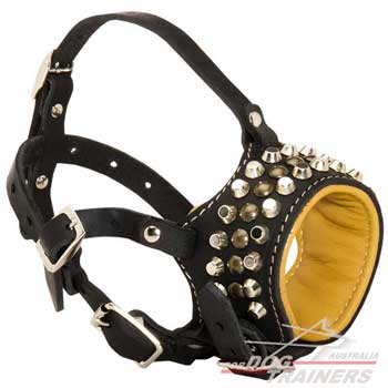 Dog Leather Muzzle with Nappa Padding