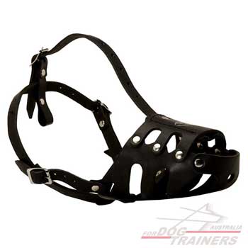 Dog muzzle is riveted to prolong usage