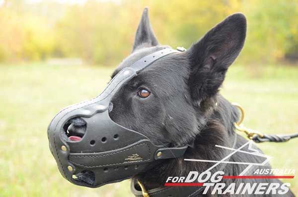Best Leather German Shepherd Muzzle for Attack Work/Training