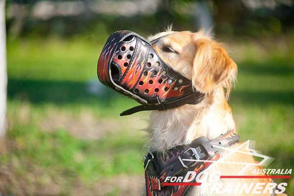 Golden Retriever leather muzzle with good ventilation