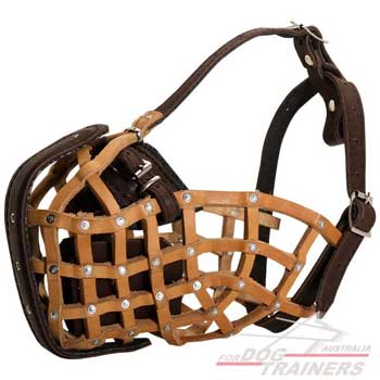 Leather Dog Muzzle Easily Adjustable