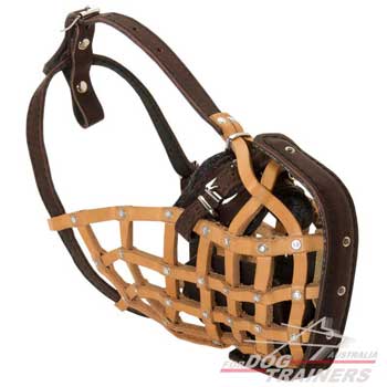 Leather Dog Muzzle Soft Leather Nose Padding