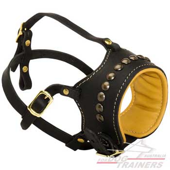 Soft nappa Padded leather dog muzzle with brass studs 