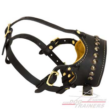 Anti-barking leather dog muzzle