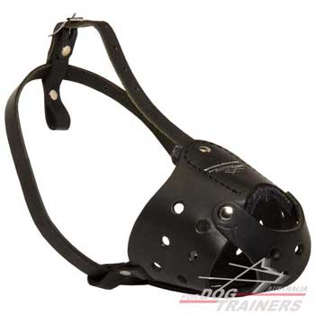 Leather Canine Muzzle Well Ait Ventilated