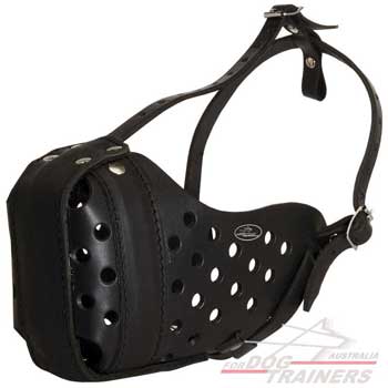 Leather Canine Muzzle for Agitation Training