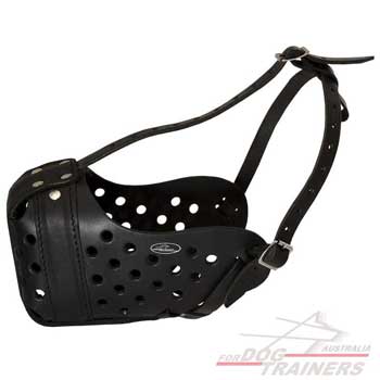 Leather Dog Muzzle for Protection from Biting