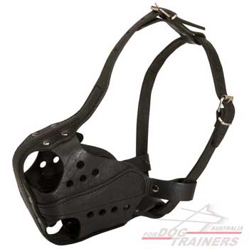 Most Comfortable Leather Canine Muzzle for Agitation Training
