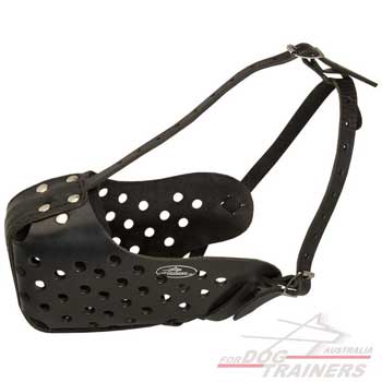 Leather dog muzzle for agitation training