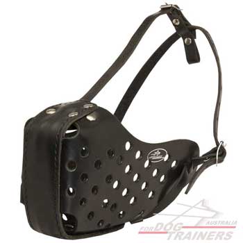 Leather muzzle for attack training