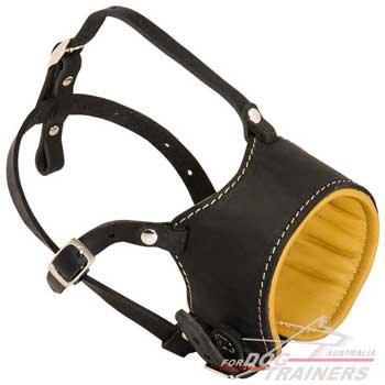 Non-rubbing padded inside leather muzzle