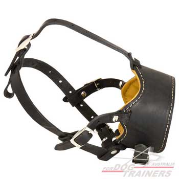 Well-ventilated leather muzzle with open nose
