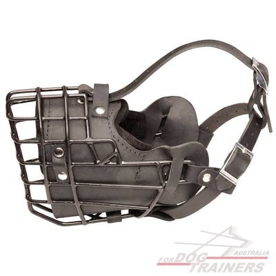 Wire Basket Dog Muzzle Allows Barking