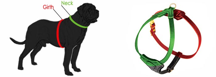 how-to-measure-harness