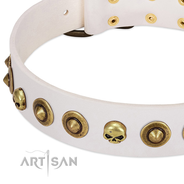 Trendy adornments on full grain natural leather collar for your four-legged friend