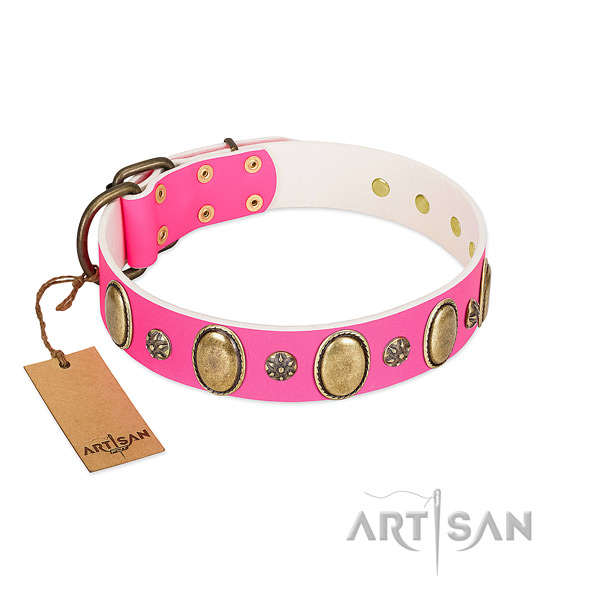 Gentle to touch full grain genuine leather dog collar with corrosion resistant fittings