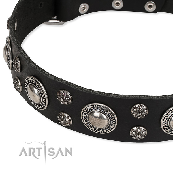 Everyday use decorated dog collar of reliable full grain natural leather