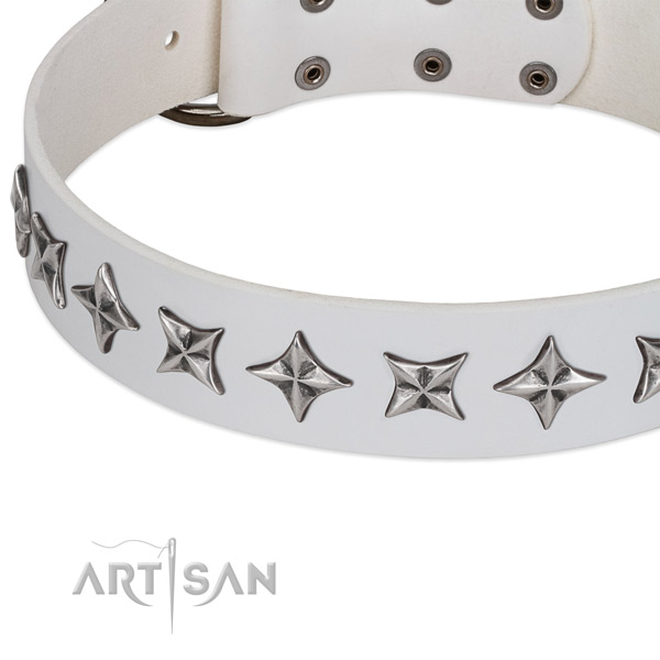 Fancy walking decorated dog collar of strong genuine leather