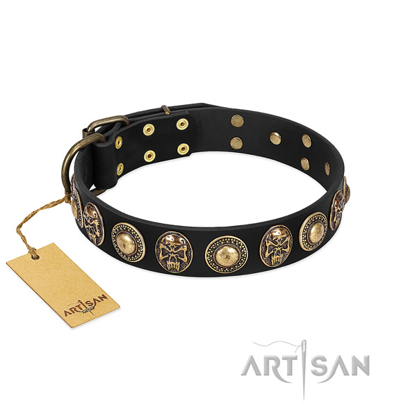Easy adjustable genuine leather dog collar for daily walking your pet