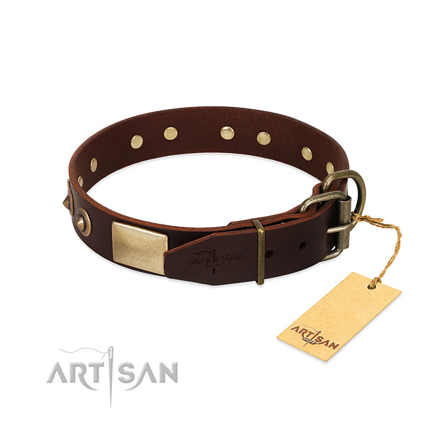 Rust resistant studs on comfy wearing dog collar