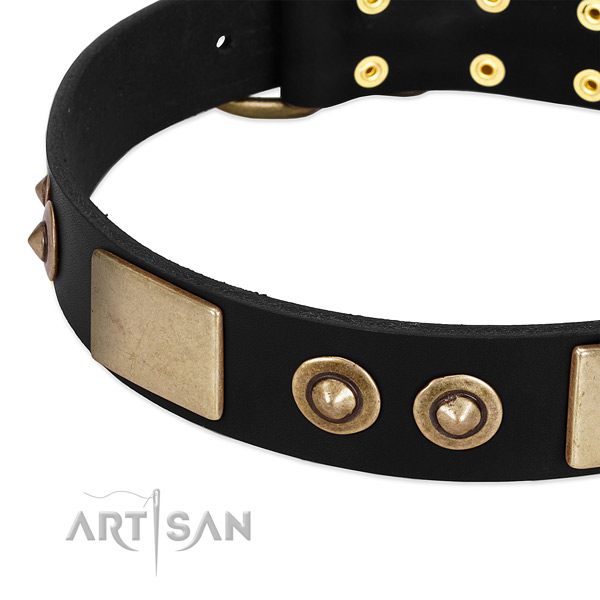Reliable adornments on leather dog collar for your dog