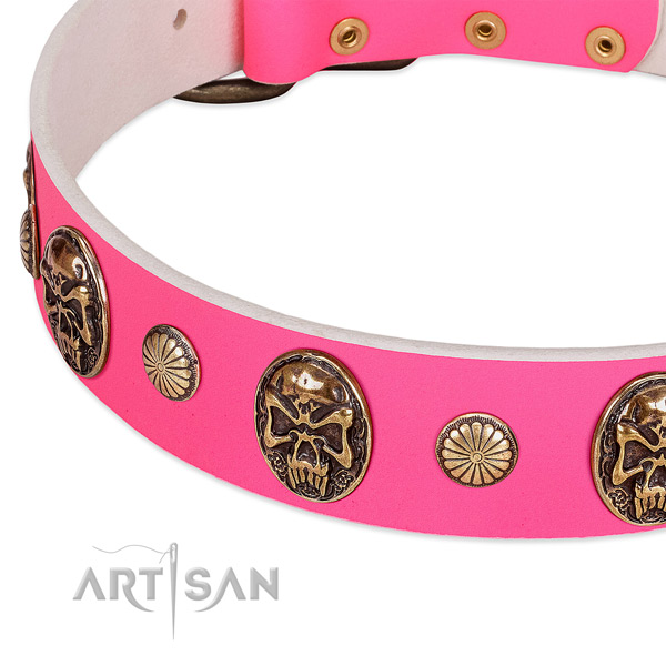 Reliable studs on full grain natural leather dog collar for your dog