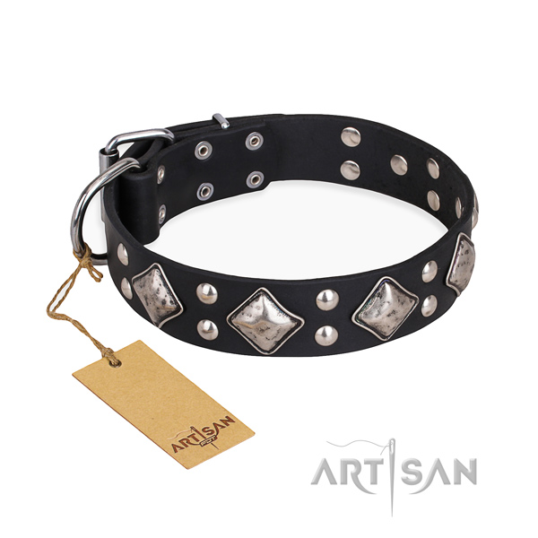 Everyday use impressive dog collar with rust resistant D-ring