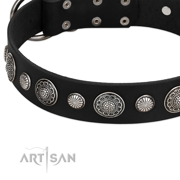 Genuine leather collar with rust-proof hardware for your attractive pet