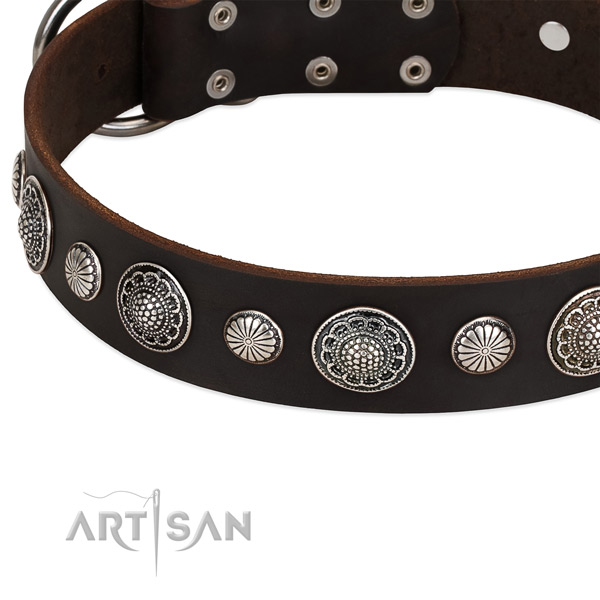 Genuine leather collar with corrosion proof D-ring for your stylish doggie