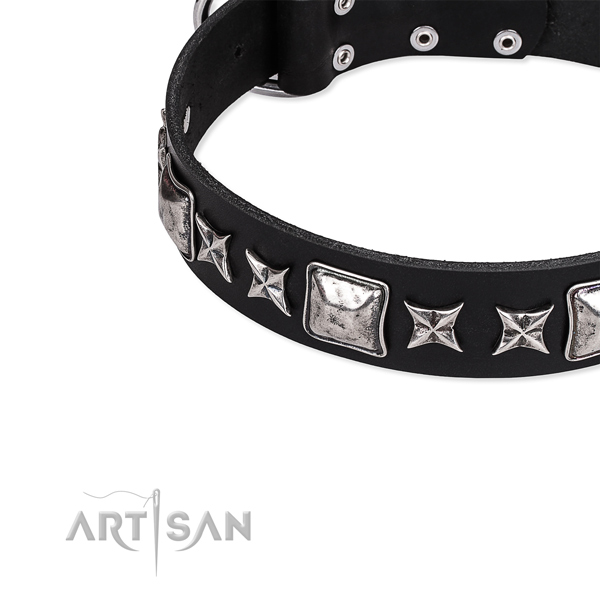 Basic training embellished dog collar of top quality full grain genuine leather