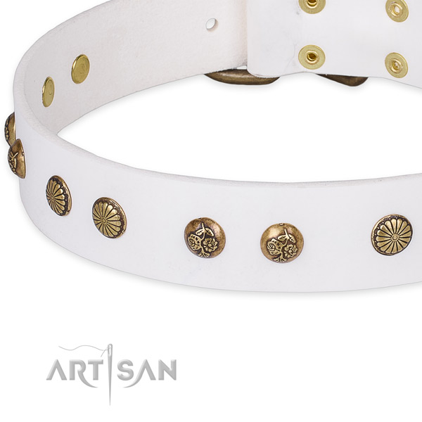 Full grain natural leather collar with rust-proof traditional buckle for your attractive four-legged friend