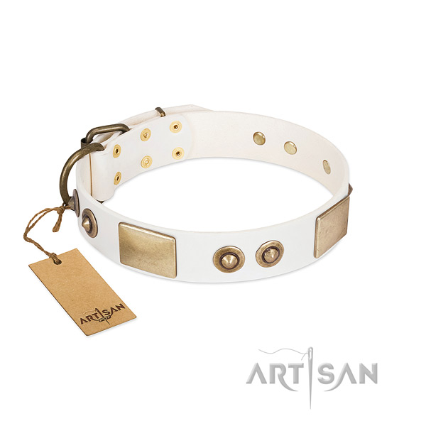 Rust-proof traditional buckle on full grain genuine leather dog collar for your dog