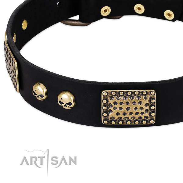 Rust resistant traditional buckle on full grain leather dog collar for your canine