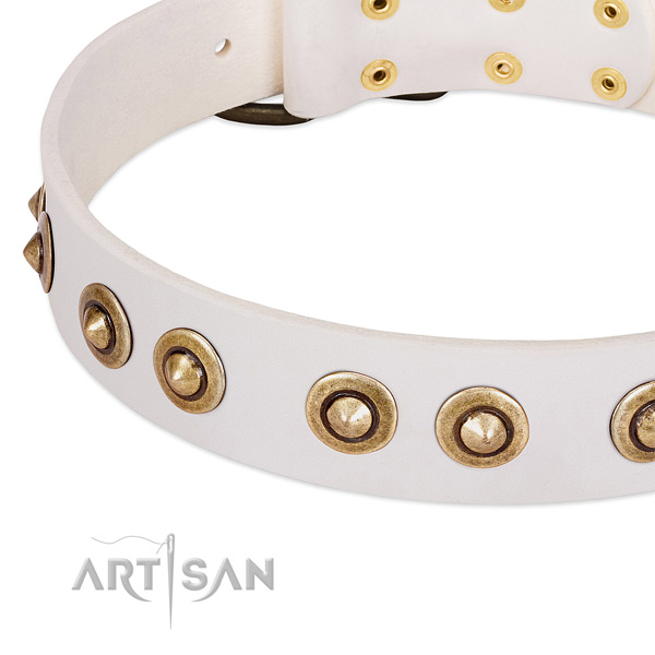 Durable embellishments on full grain leather dog collar for your dog