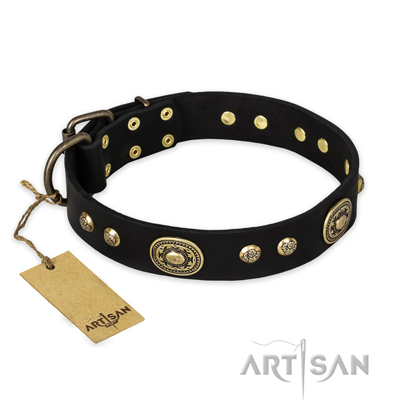 Studded genuine leather dog collar with reliable fittings