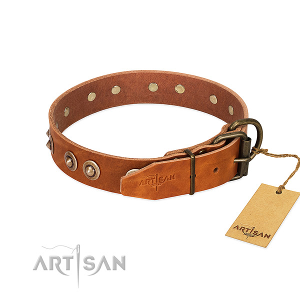 Rust-proof embellishments on full grain leather dog collar for your doggie