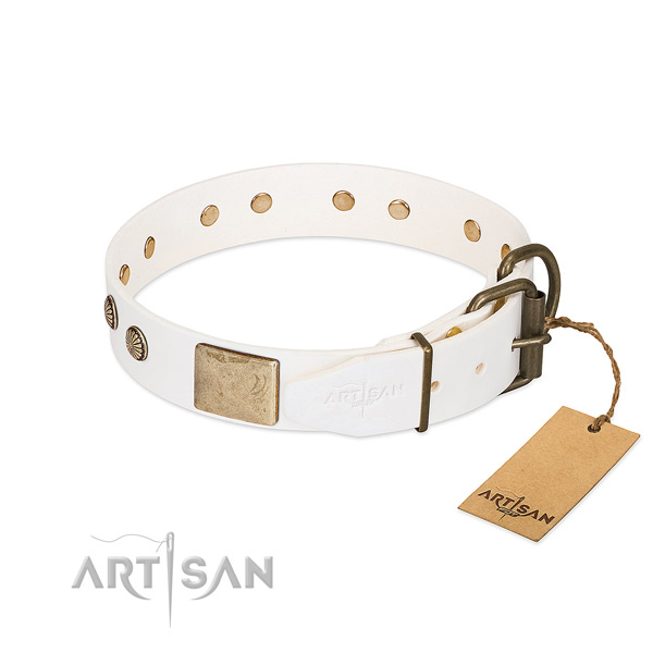 Corrosion resistant traditional buckle on handy use dog collar