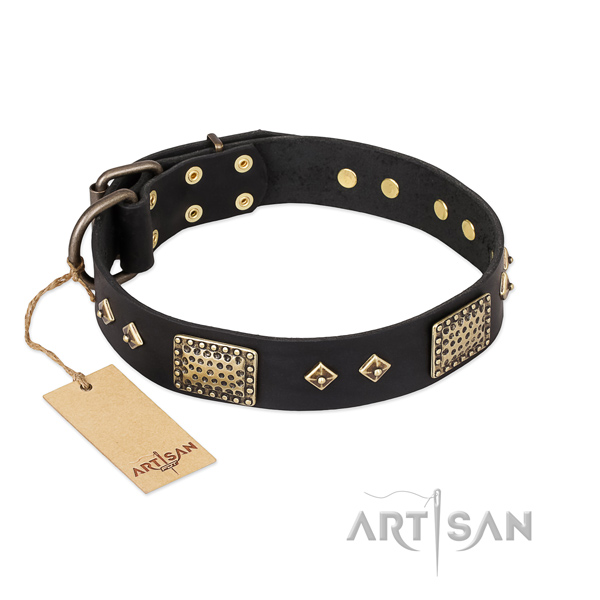 Awesome full grain natural leather dog collar for daily use