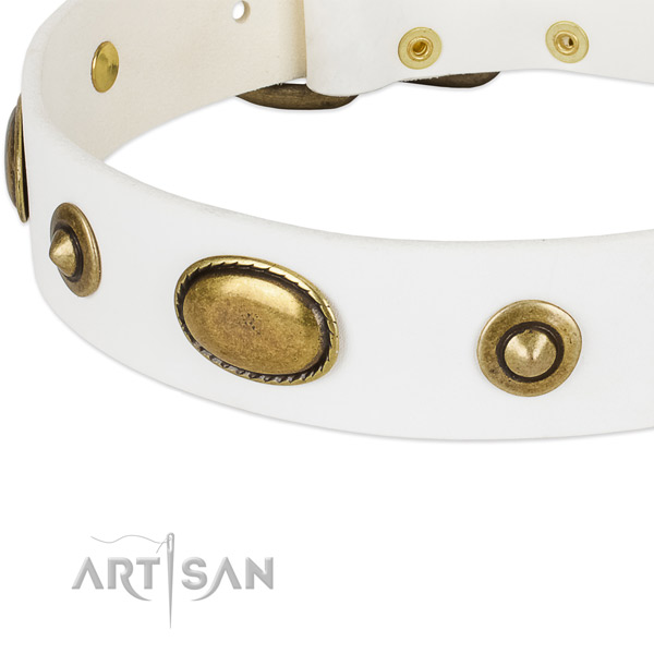 Corrosion resistant decorations on full grain natural leather dog collar for your doggie
