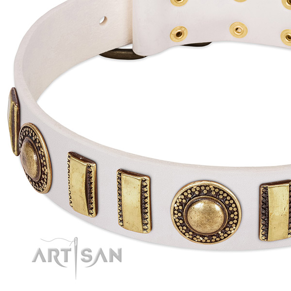 Quality full grain natural leather dog collar with durable buckle