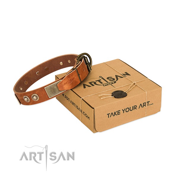 Durable decorations on dog collar for stylish walking