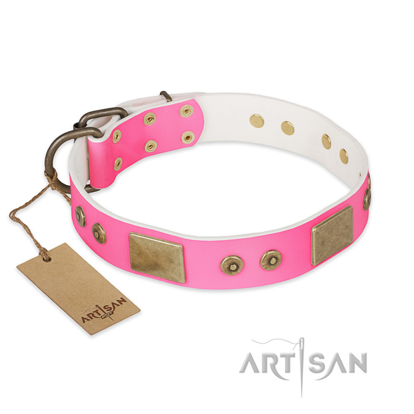 Easy to adjust full grain genuine leather dog collar for basic training your doggie