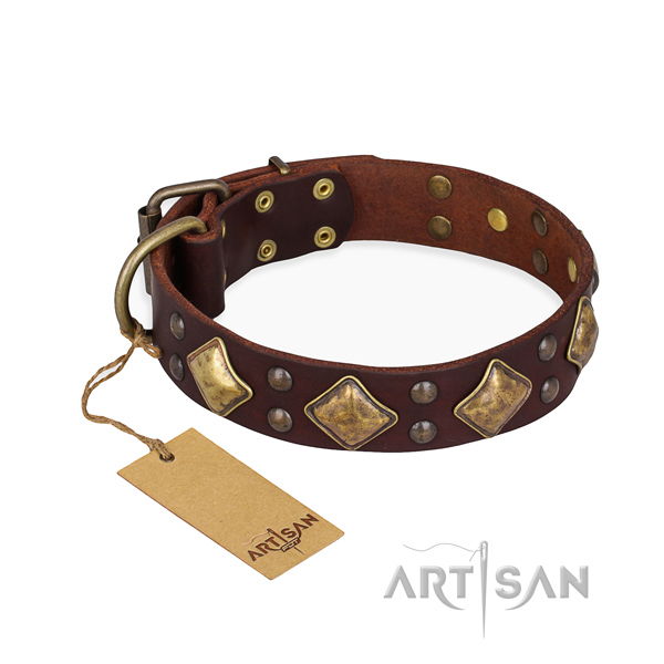 Daily walking perfect fit dog collar with corrosion proof traditional buckle