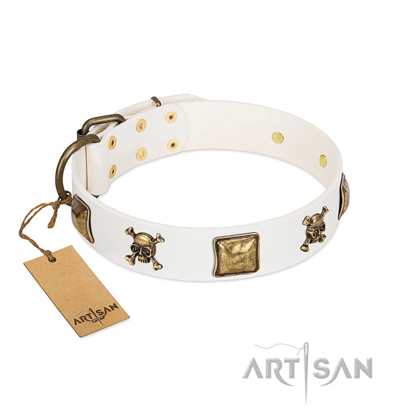 Exceptional natural leather dog collar with corrosion resistant studs