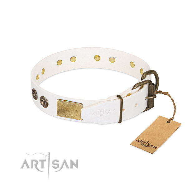 Rust-proof D-ring on full grain natural leather collar for stylish walking your dog
