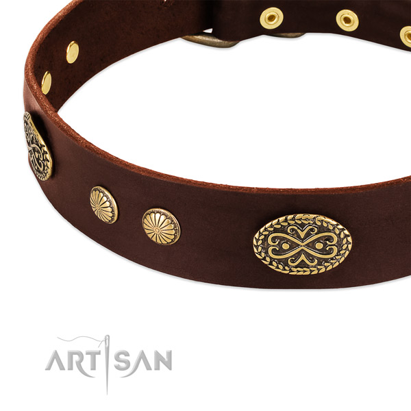 Durable studs on Genuine leather dog collar for your dog